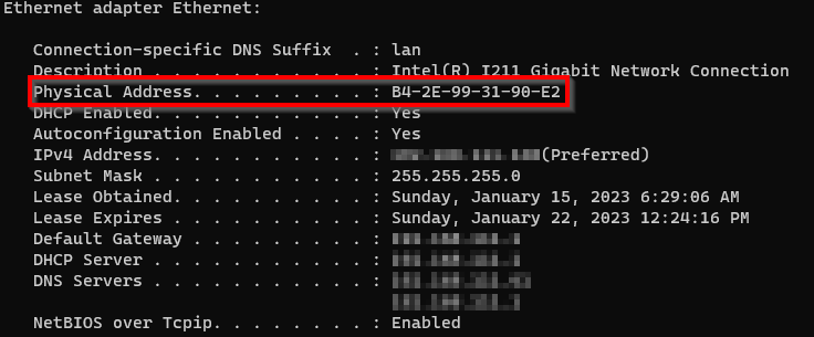 ipconfig /all output showing Physical Address for the network adapter